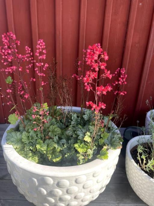Mysig I Stavnaes By- Sommarhamn, Vaermdoe Villa *