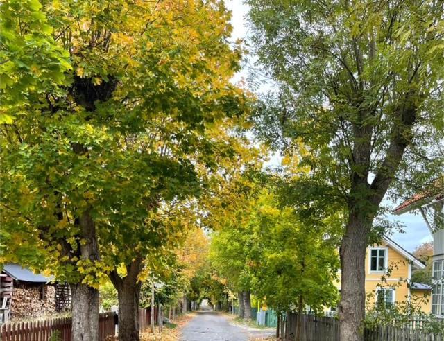 Villaer Mysig I Stavnaes By- Sommarhamn, Vaermdoe